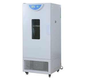 火狐HUOHU（中国）霉菌培养箱BPMJ-250F-液晶